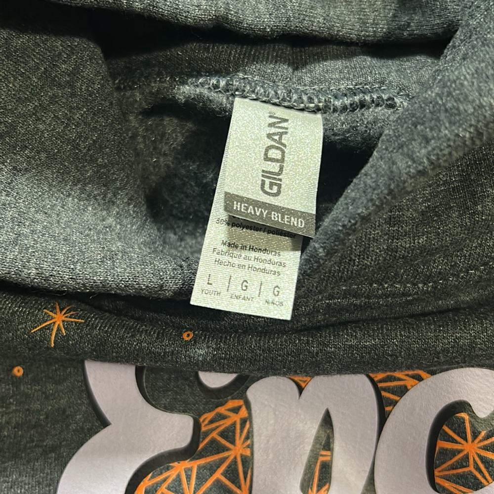 Disney Epcot Pullover Hoodie with Figment Graphic Charcoal Gray Kids Size Large - Picture 9 of 11